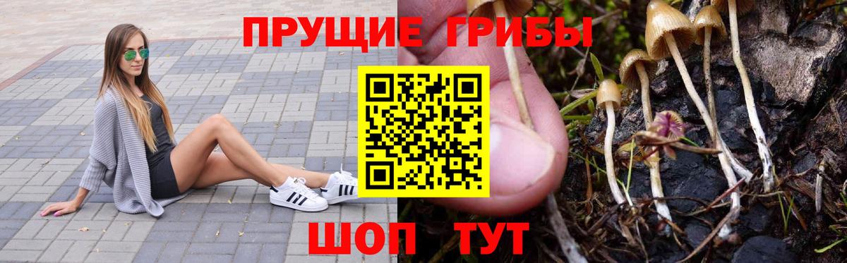 Псилоцибиновые грибы прущие грибы  Псилоцибиновые грибы MAGIC MUSHROOMS  Красноярск  Вход с VPN 